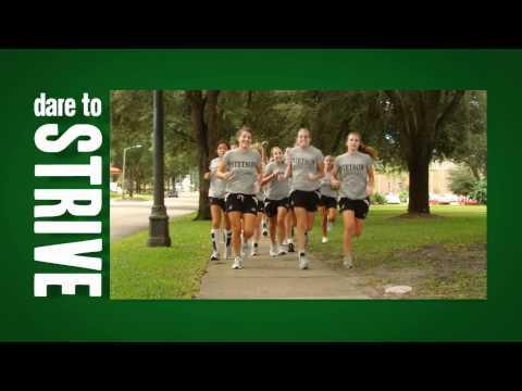 Image for Stetson University