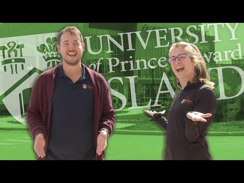 Image for University of Prince Edward Island