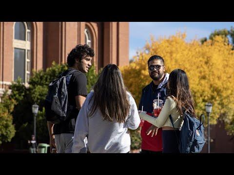 Image for University of Arizona